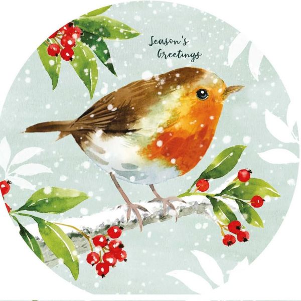 Luxury Charity Christmas Cards - Robin Redbreast - Pack of 10